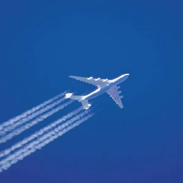 주소모음 링크 보기 가이드