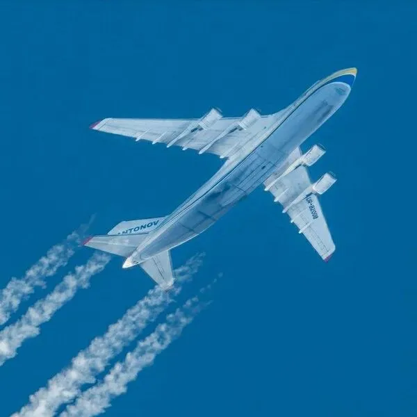 주소모음으로 한눈에 보는 최신 링크 사이트