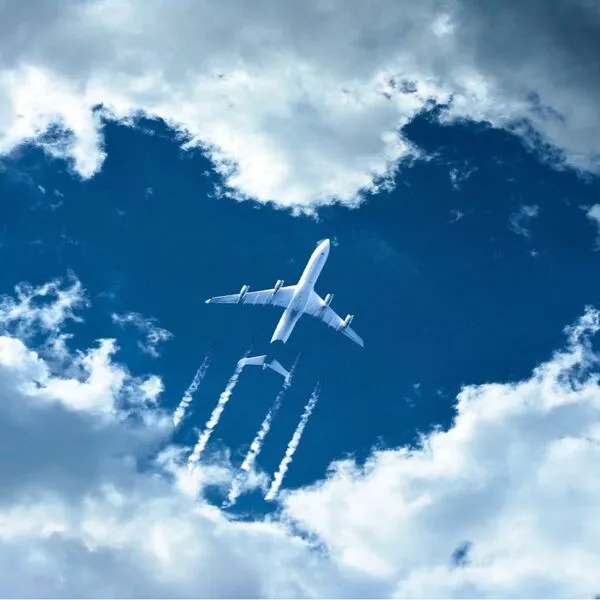 주소허브에서 제공하는 최신 사이트